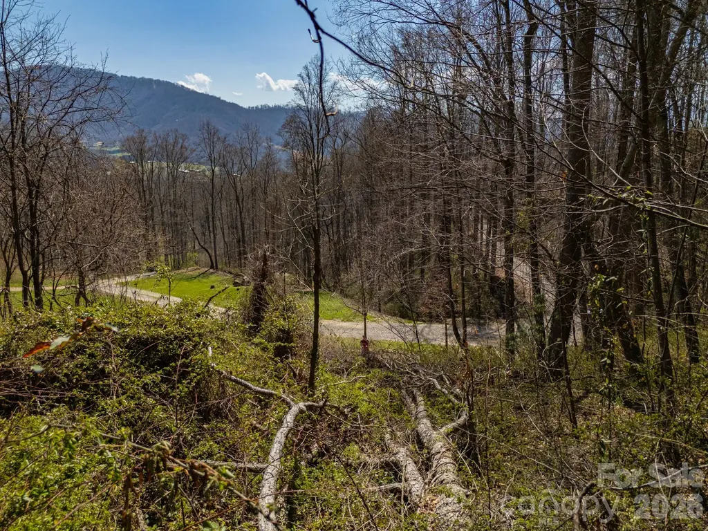 Tbd Dads Retreat Trail Canton NC 28716