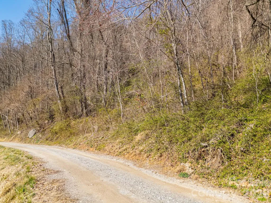 Tbd Dads Retreat Trail Canton NC 28716
