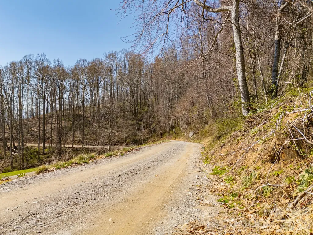Tbd Dads Retreat Trail Canton NC 28716