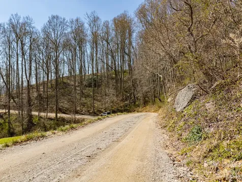 Tbd Dads Retreat Trail Canton NC 28716
