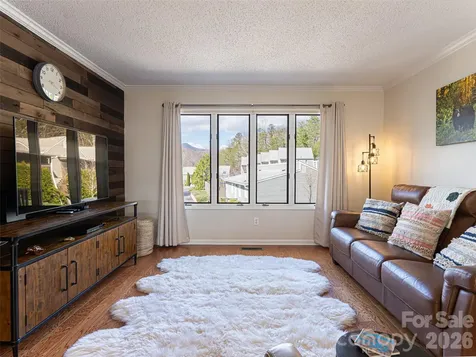 2F Lynx Drive Black Mountain NC 28711