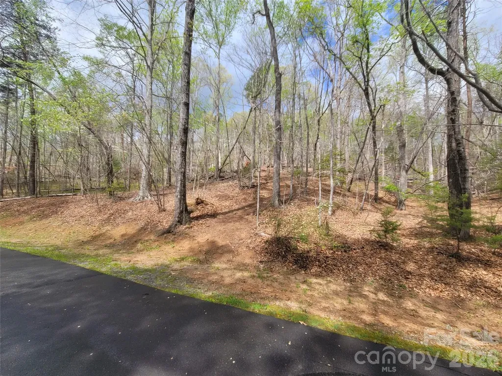 0 Springhill Drive Rutherfordton NC 28139