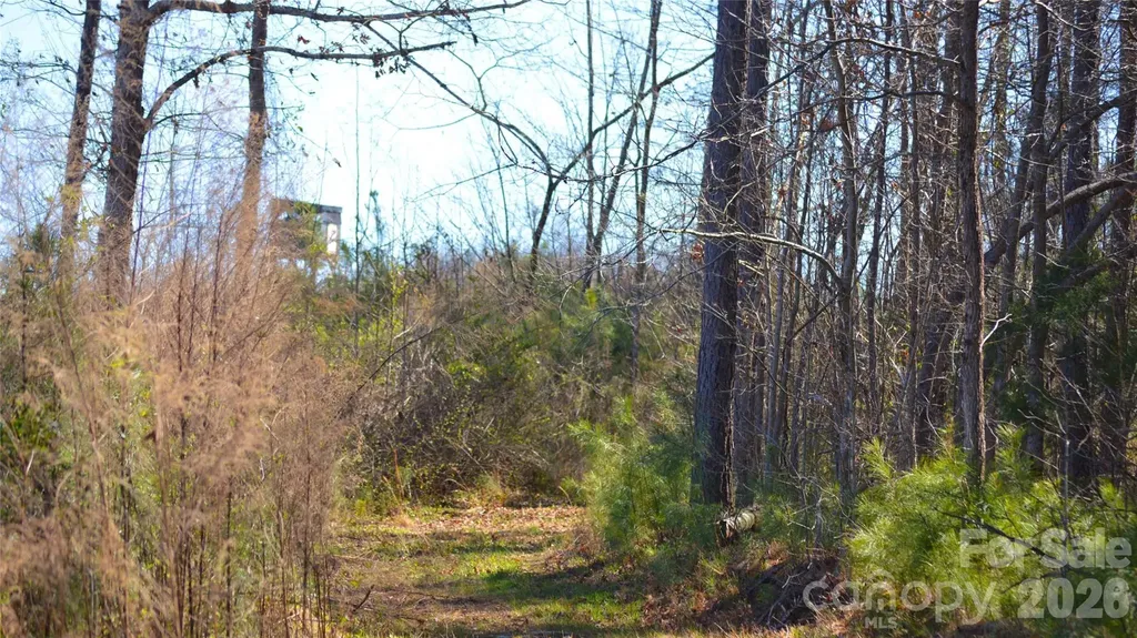 00 Bobby Faucette Road Jonesville SC 29353