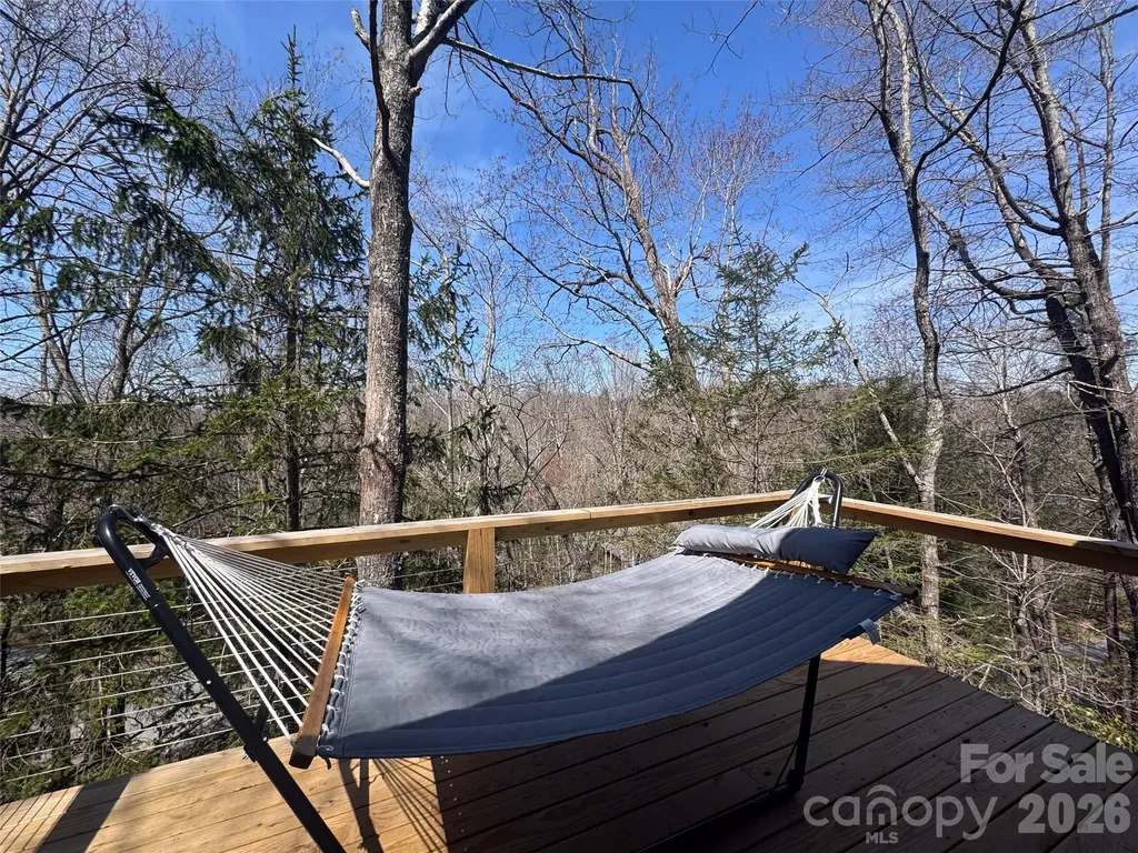 31 Elseetos Drive Brevard NC 28712