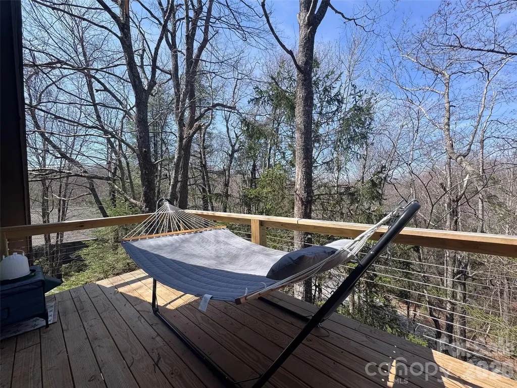 31 Elseetos Drive Brevard NC 28712