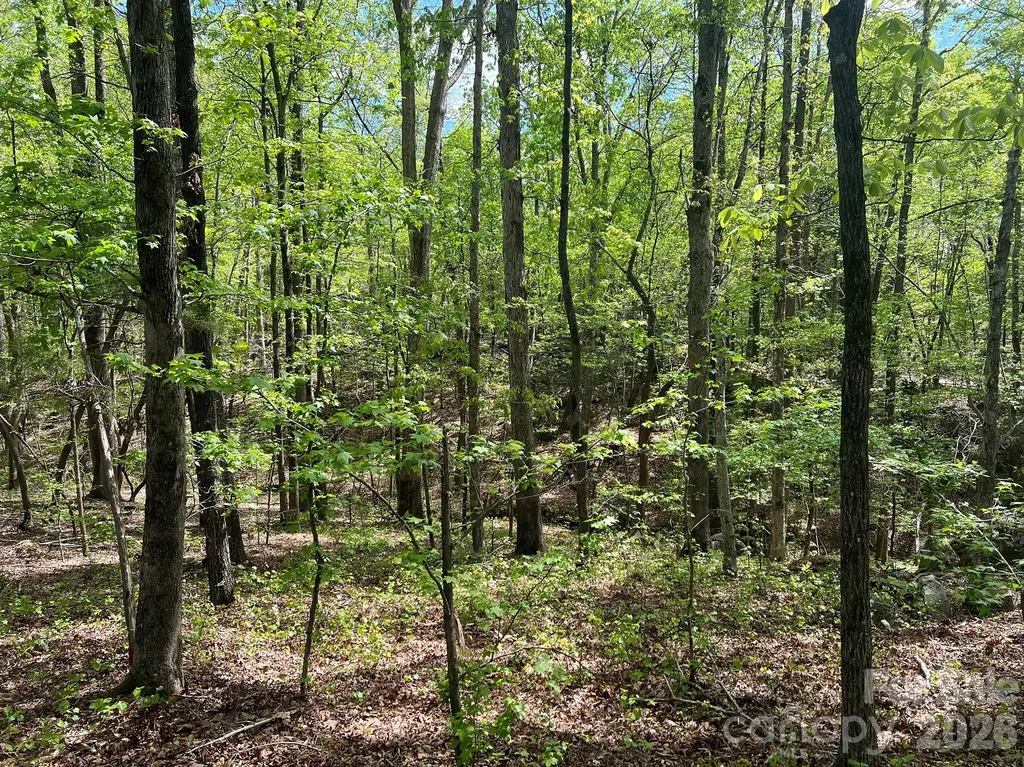 623 Mystic Way Lane Waxhaw NC 28173