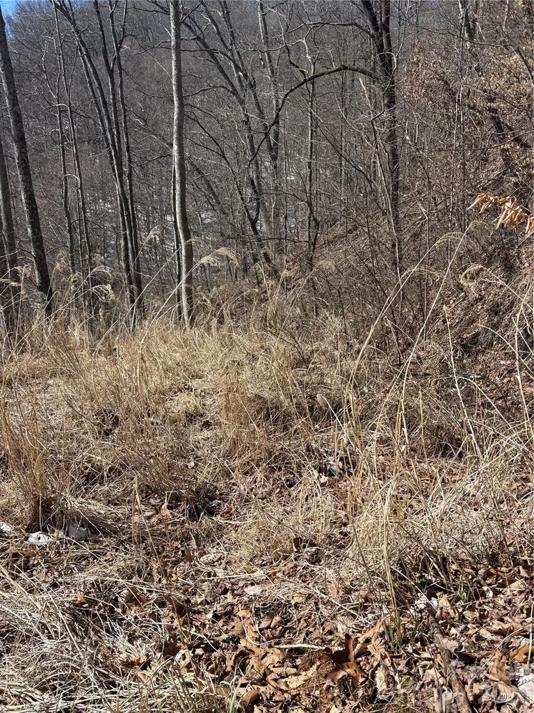 344 Running Deer Lane Mars Hill NC 28754