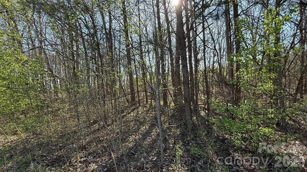 1361 Zeb Haynes Road Maiden NC 28650