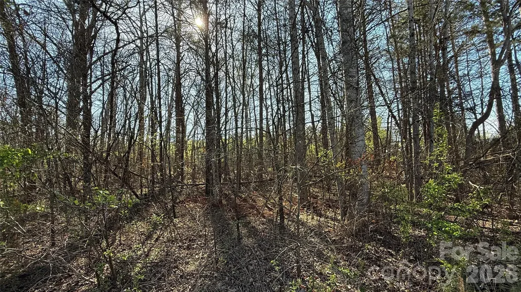 1361 Zeb Haynes Road Maiden NC 28650