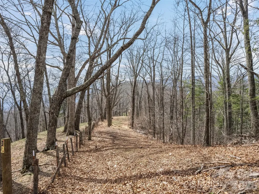 415 Treetop Lane Waynesville NC 28785