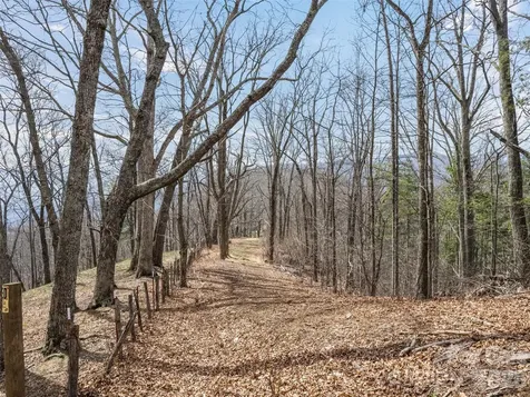 415 Treetop Lane Waynesville NC 28785