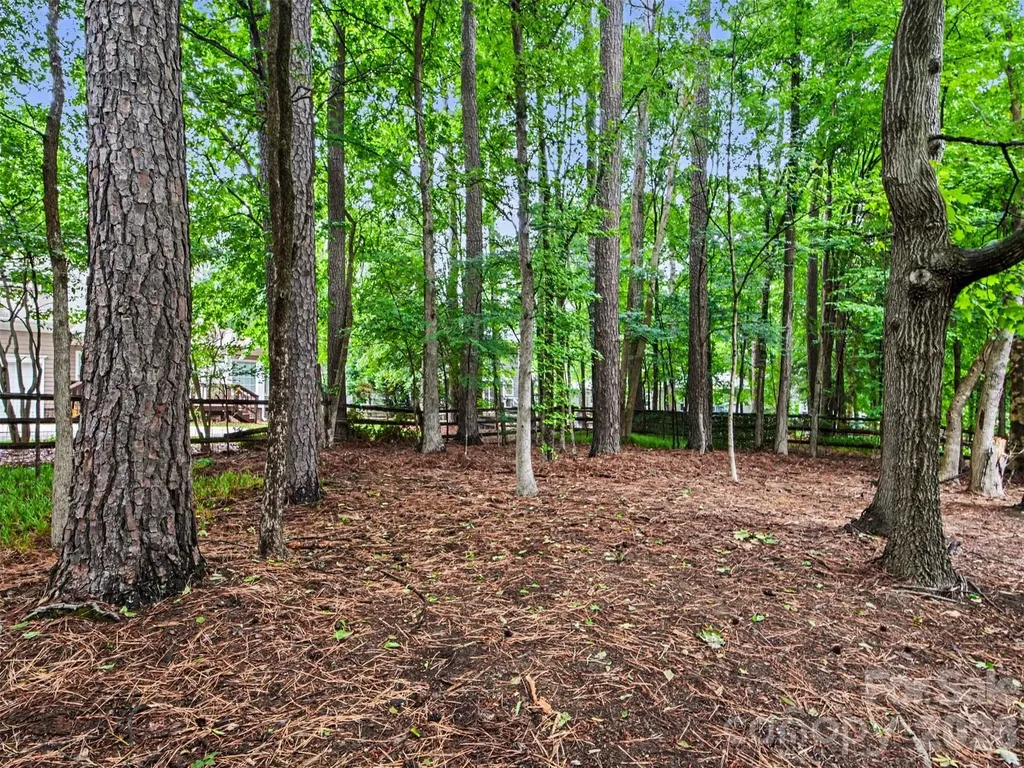 6401 Morningsong Lane Charlotte NC 28269