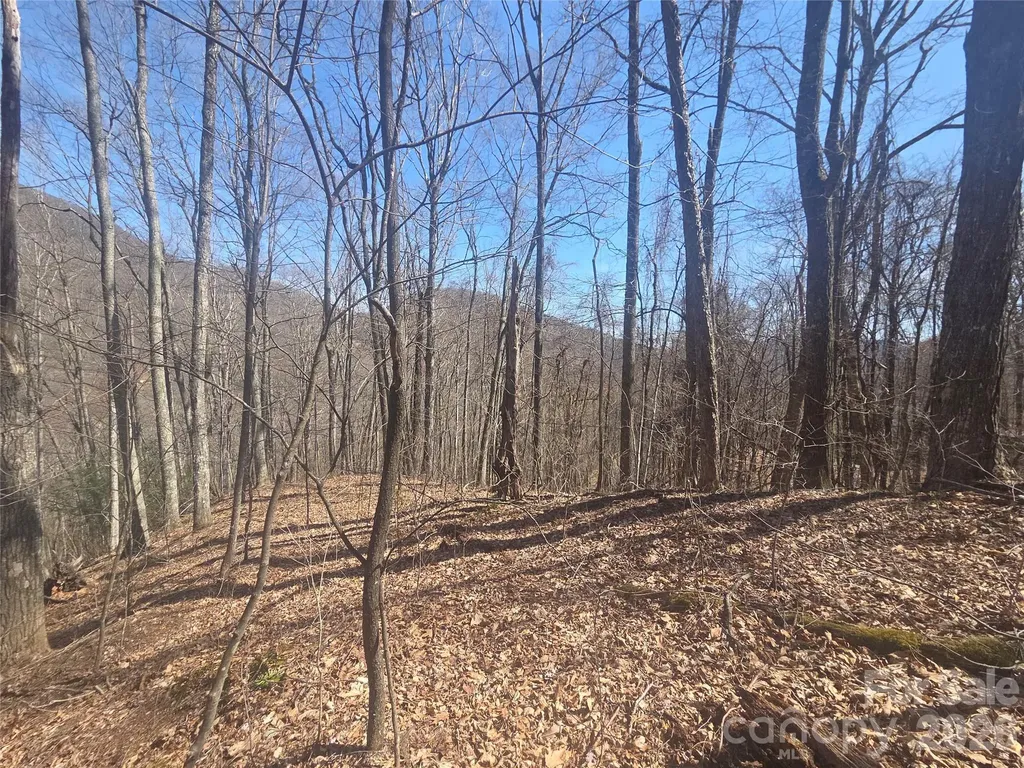 820 Chestnut Flats Lane Waynesville NC 28786