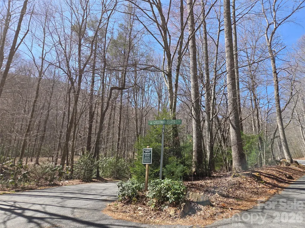 820 Chestnut Flats Lane Waynesville NC 28786