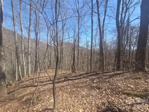 820 Chestnut Flats Lane Waynesville NC 28786