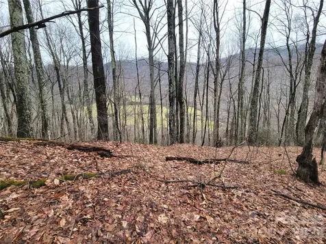 820 Chestnut Flats Lane Waynesville NC 28786