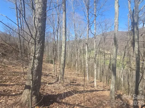 820 Chestnut Flats Lane Waynesville NC 28786