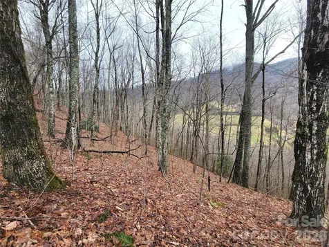 820 Chestnut Flats Lane Waynesville NC 28786