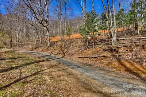 000 Poplar Trail Spruce Pine NC 28777