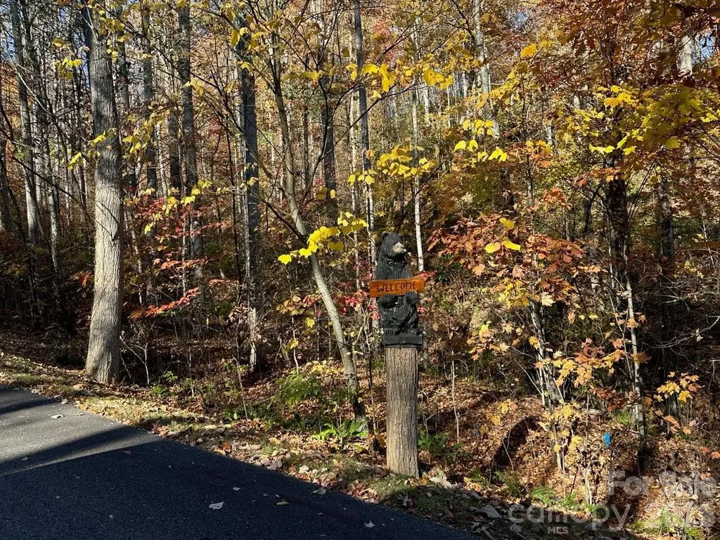3 Mountain Watch Drive Waynesville NC 28785
