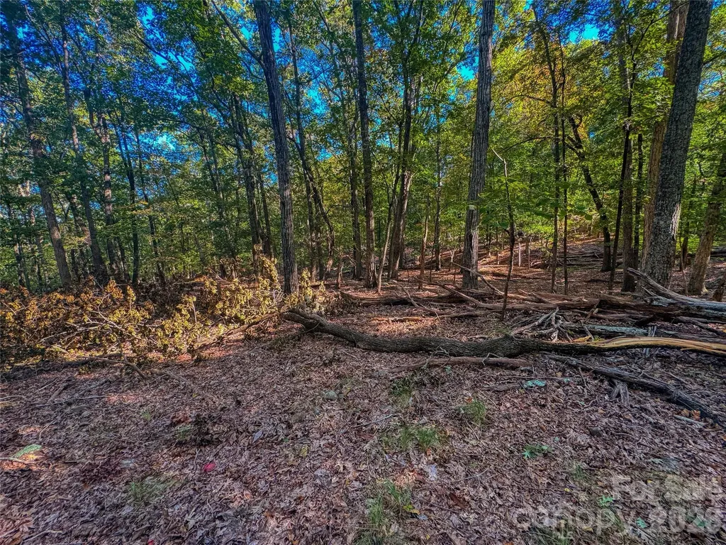 388 Palisade Trace Denton NC 27239