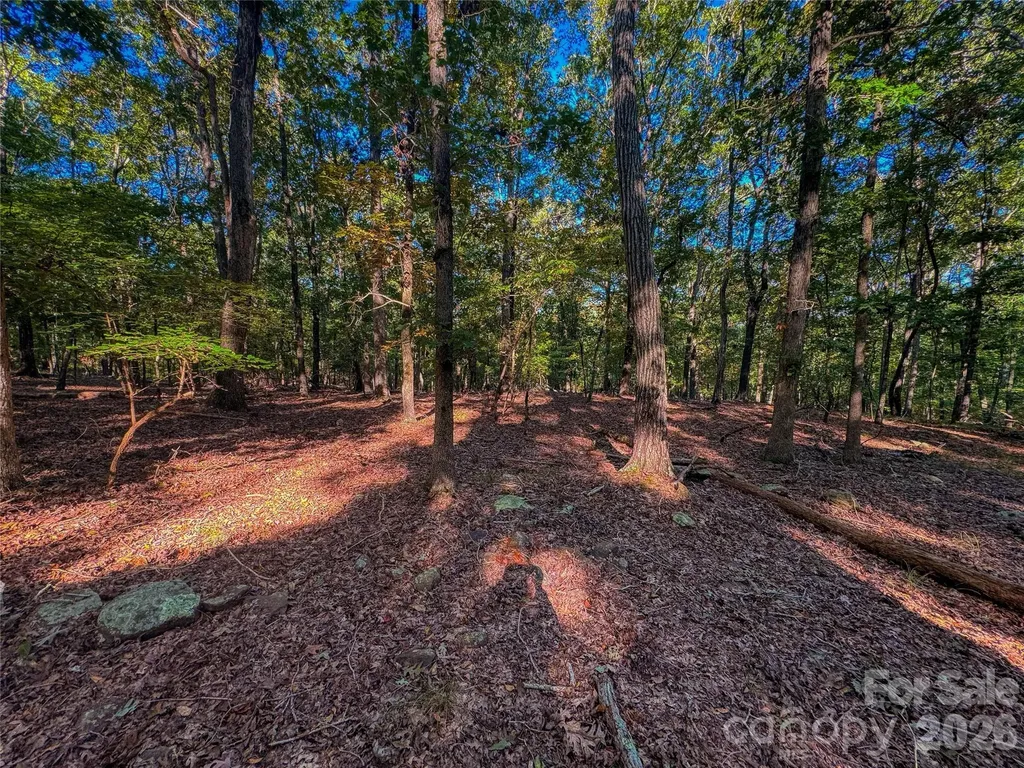 388 Palisade Trace Denton NC 27239