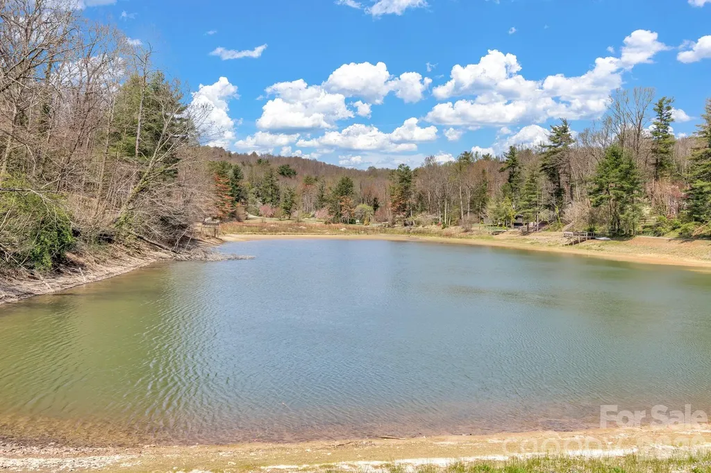 74 S Alta Vista Drive Saluda NC 28773