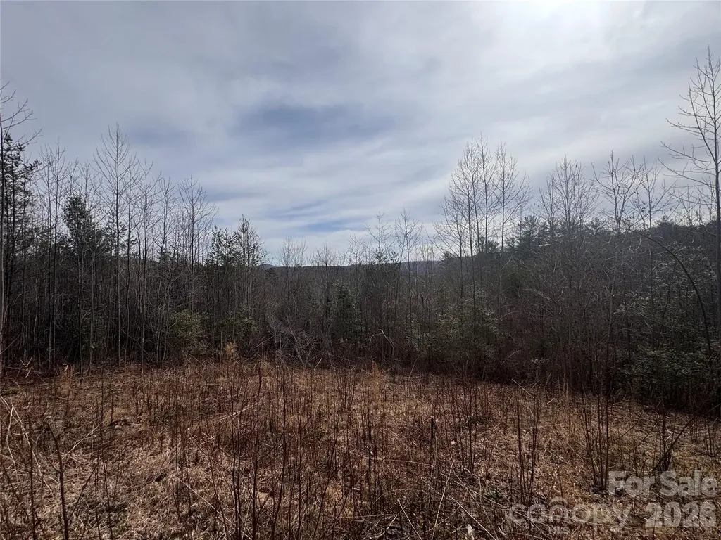 00 Billings Hill Church Road Traphill NC 28685