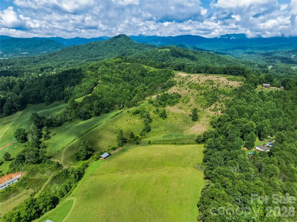 35 Felmet Farm Road Marshall NC 28753