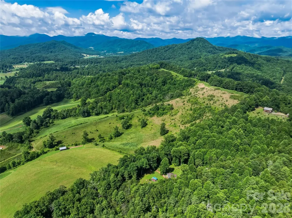 35 Felmet Farm Road Marshall NC 28753