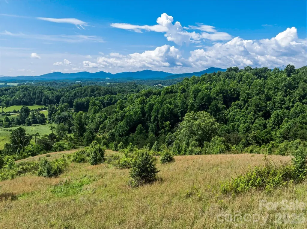35 Felmet Farm Road Marshall NC 28753