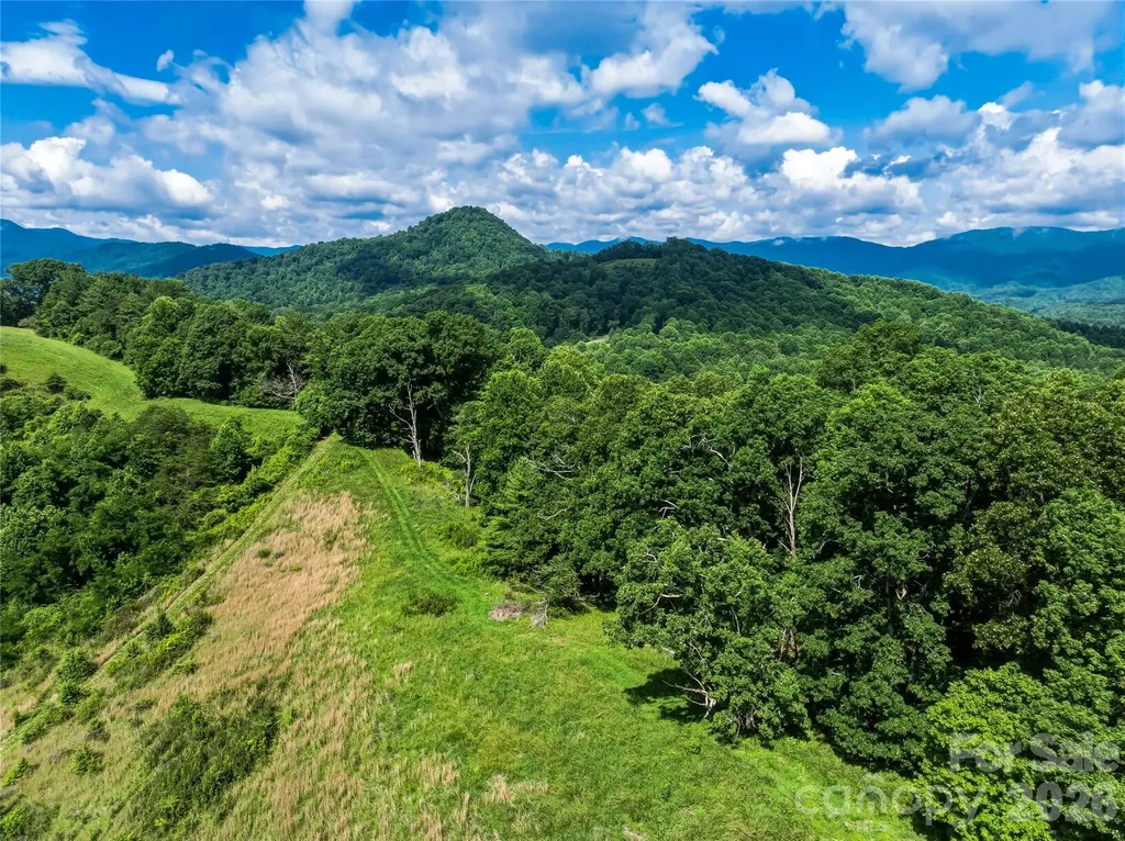 35 Felmet Farm Road Marshall NC 28753
