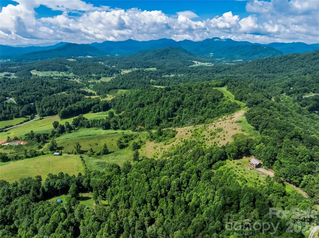 35 Felmet Farm Road Marshall NC 28753