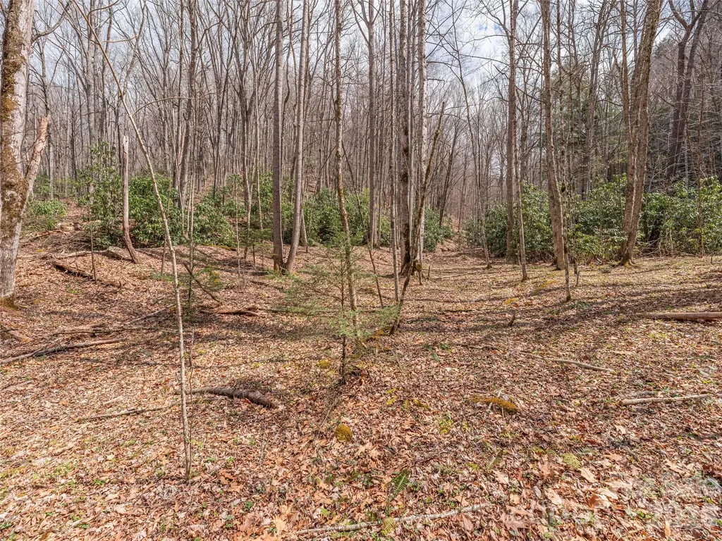 00 Norton Fork Road Spring Creek NC 28743