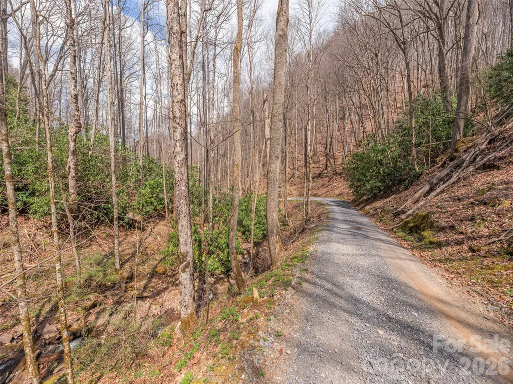 00 Norton Fork Road Spring Creek NC 28743