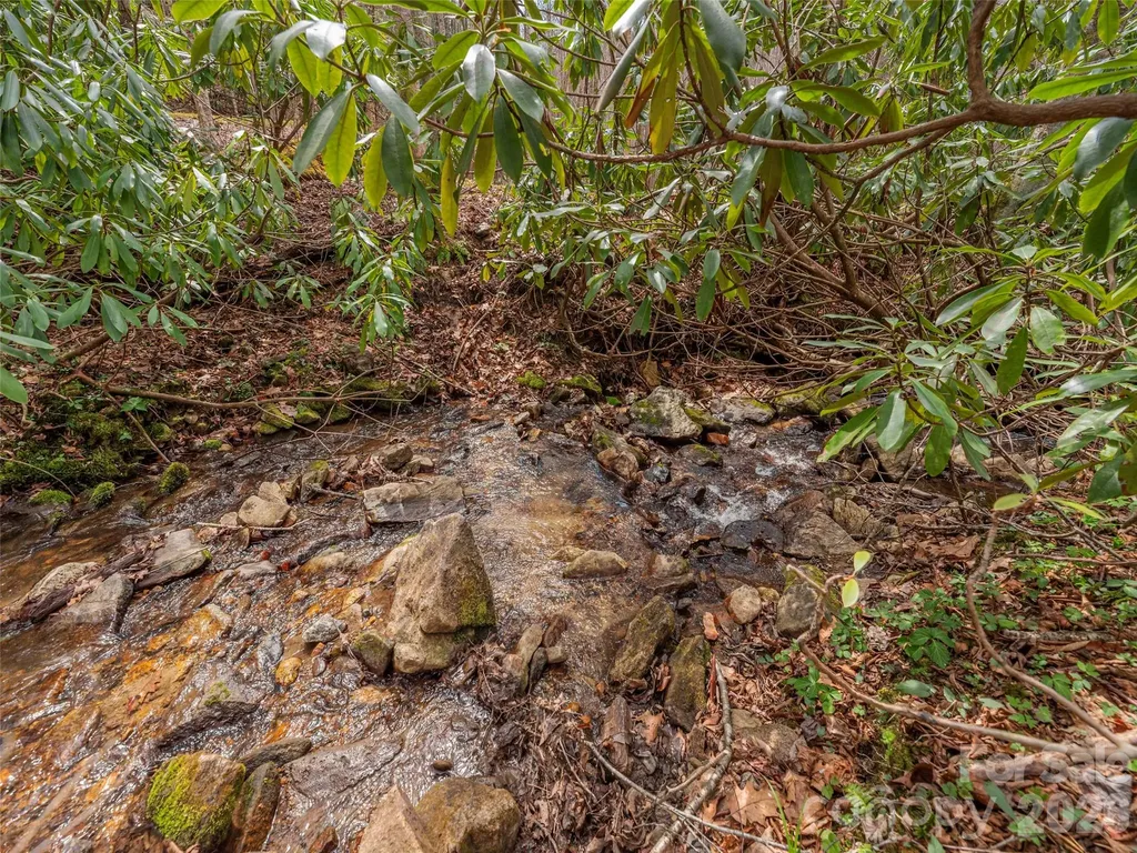 00 Norton Fork Road Spring Creek NC 28743