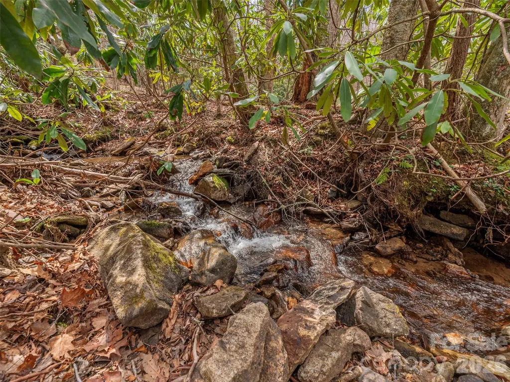 00 Norton Fork Road Spring Creek NC 28743