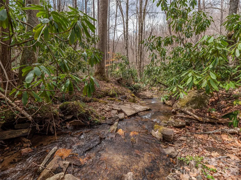 00 Norton Fork Road Spring Creek NC 28743