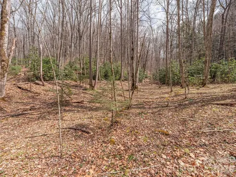 00 Norton Fork Road Spring Creek NC 28743