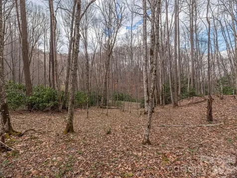 00 Norton Fork Road Spring Creek NC 28743