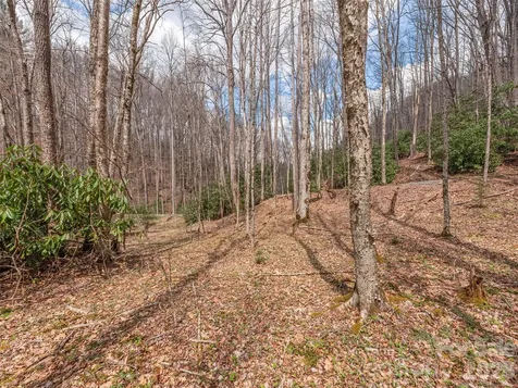 00 Norton Fork Road Spring Creek NC 28743
