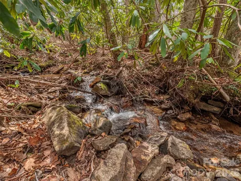 00 Norton Fork Road Spring Creek NC 28743