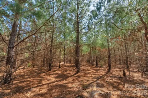931 Charlie Johnson Road Kershaw SC 29067