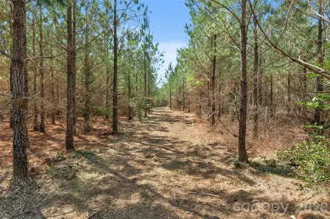 931 Charlie Johnson Road Kershaw SC 29067