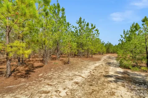 931 Charlie Johnson Road Kershaw SC 29067