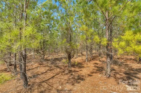 931 Charlie Johnson Road Kershaw SC 29067