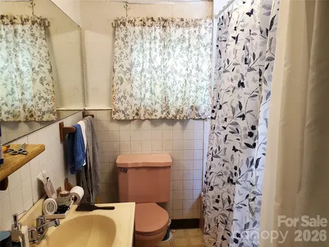 20 Homewood Drive Asheville NC 28803