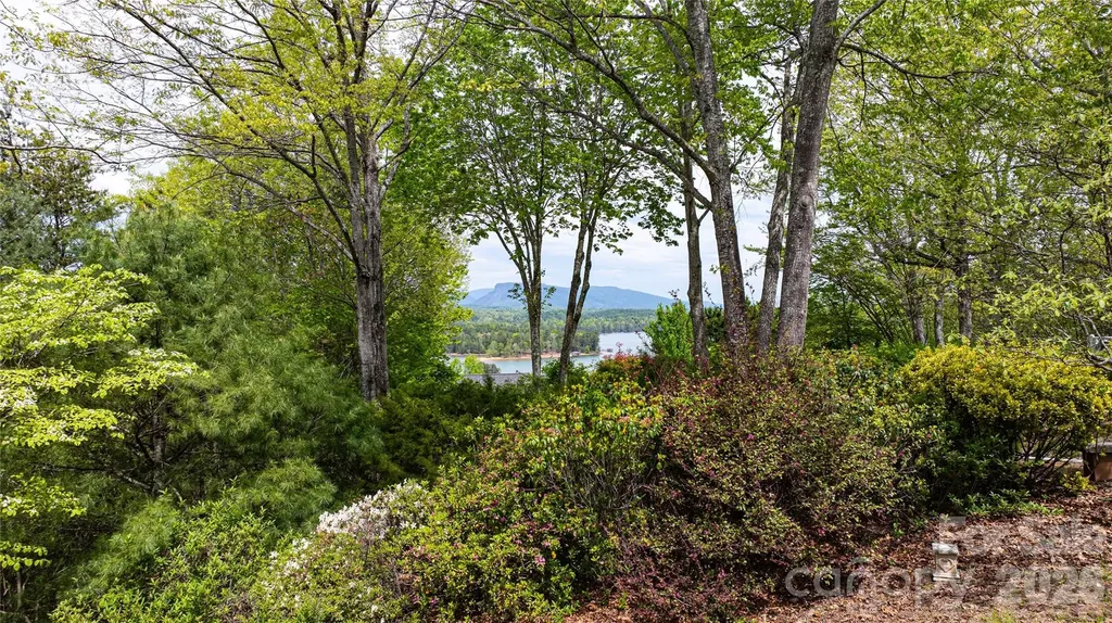 27 Magnolia Drive Nebo NC 28761
