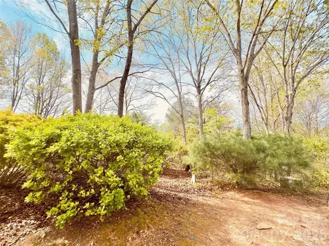 27 Magnolia Drive Nebo NC 28761