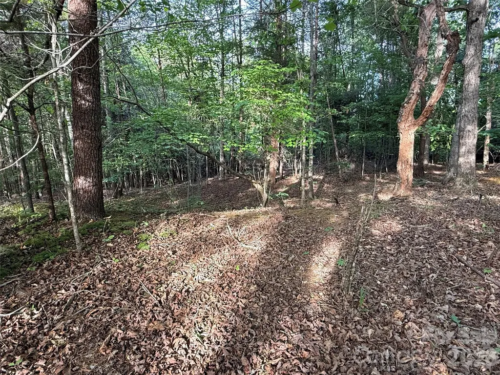 0 Shenandoah Drive Spindale NC 28160